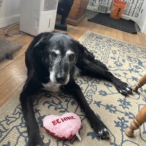 Fundraising Page: Tiffany Marquez